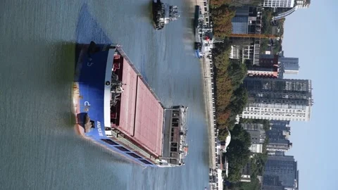 General cargo ship sails by coast Stock Footage 195932147