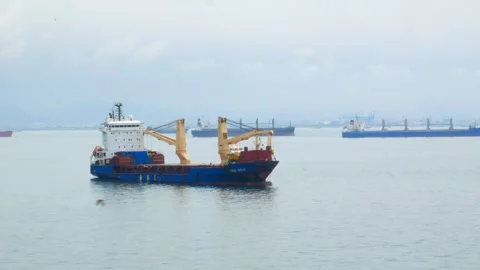 General cargo ship with two yellow cranes and other different type vessels Stock Footage 242803461
