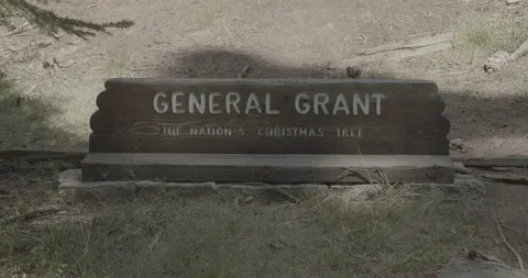 General Grant Giant Sequoia Tree Sign Video stock 168952102