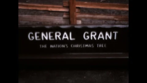 General Grant Sequoia Tree 1967 Stock Footage 294792020