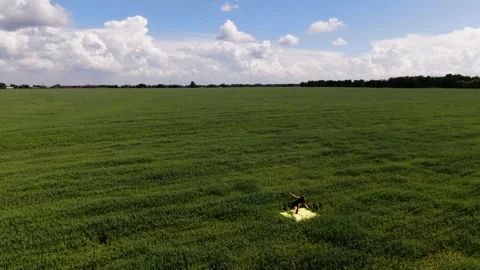General plan of the green field and sky. Girl dancing classical dance Stock Footage 144825364
