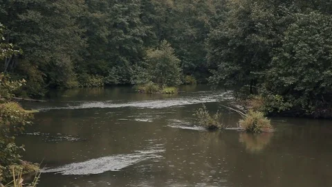 The General plan, the river in the forest Stock Footage 82991943