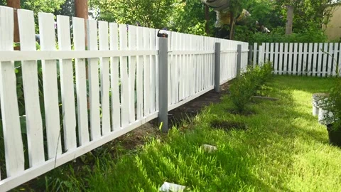 General plan Timelaps work in the garden with young trees. A young man plants Video stock 199695089