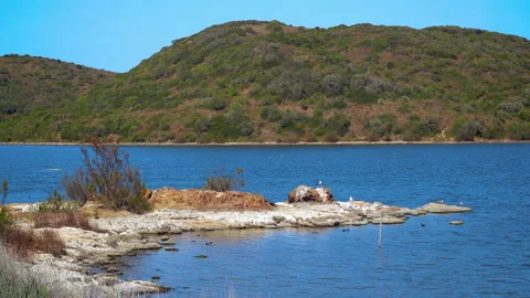 General shot of natural landscape Stock Footage 170051464