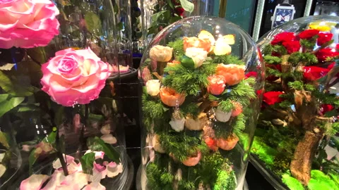 General shots in a mall 스톡 동영상 168025763