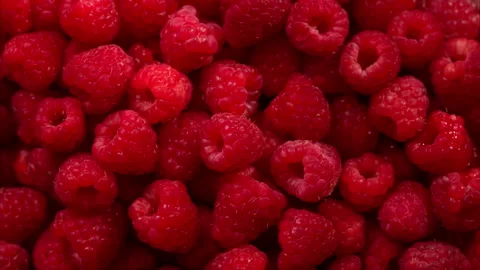 General view from above: freshly picked raspberries in dappled sunlight. Stock Footage 314179149