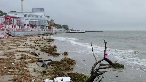 General view of the coast consequences of environmental disaster ukraine Stock Footage 244721847
