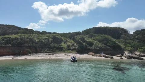 General view of the forest and seaside Stock Footage 276489648