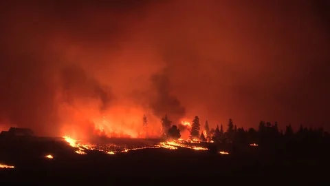 General view of a forest fire Video stock 93743188