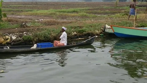 General view of Kerala backwaters Video stock 77099499
