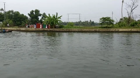 General view of Kerala backwaters Vídeos de archivo 77099617