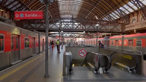 General view of Luz station platform with red commuter trains and escalators  Vidéo 338185499