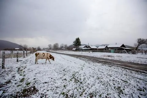 General view of an Old Believer authentic village in the outback of Russia Foto stock