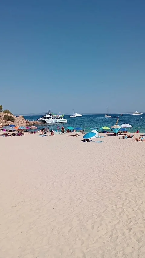 General view of Palmanova beach, a summer day with tourists. Island of Mall.. Stock Footage 286882655