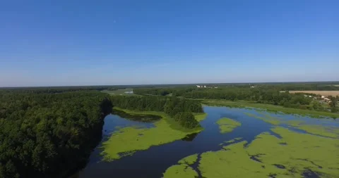 General view of the river in summer Stock Footage 265859707