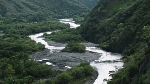 General view of a river surrounded by forest and mountains Stock Footage 153809976