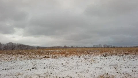 General view of the snow field Vídeos de archivo 123194495