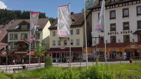 General view of Triberg Stock Footage 289559226
