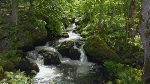 General view of Triberg waterfall Stock Footage 289559145