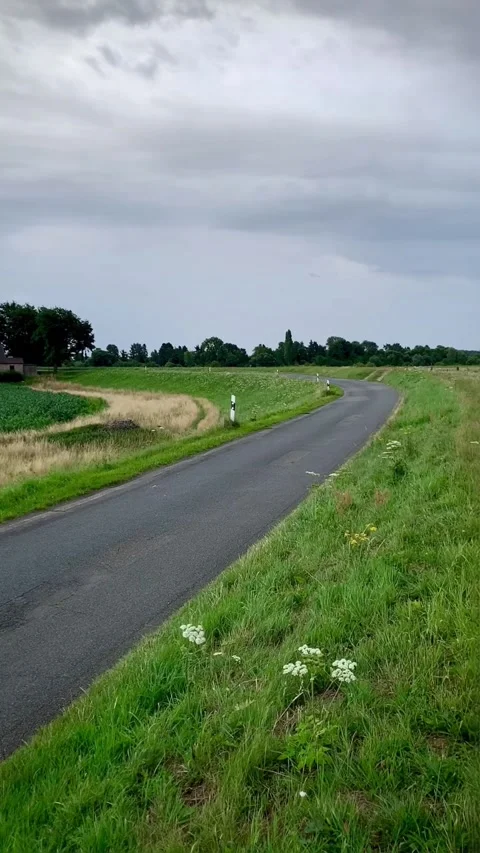 General view of village with power generators green meadow in evening light Video stock 318787002
