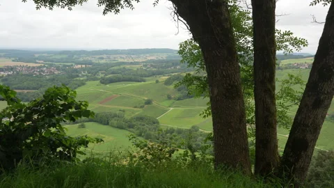 General View of Vineyards in Château-Chalon, France – Scenic Wine Region in Jura Stock Footage 311985053