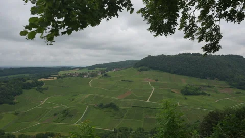 General View of Vineyards in Château-Chalon, France – Scenic Wine Region in Jura Stock Footage 311985257