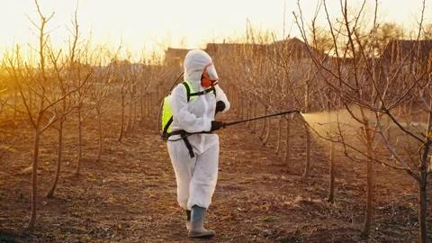 General view of a worker spraying fertilizer in the garden in a protective suit Stock Footage 228695956