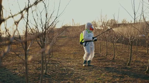 General view of a worker spraying fertilizer in the garden in a protective suit Stock Footage 235482407