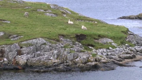 General views of the Shetland Isles Stock Footage 77352597