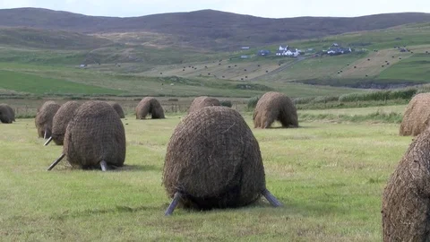 General views of the Shetland Isles Stock Footage 77353060