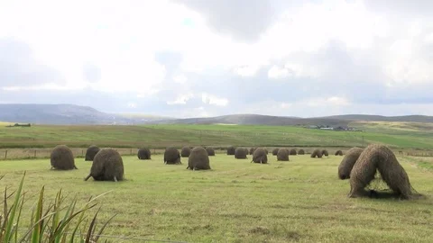 General views of the Shetland Isles Stock Footage 77353684