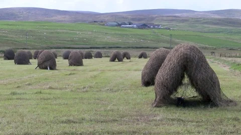 General views of the Shetland Isles Stock Footage 77353813