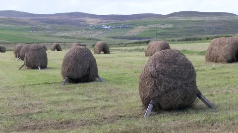General views of the Shetland Isles Stock Footage 77354522