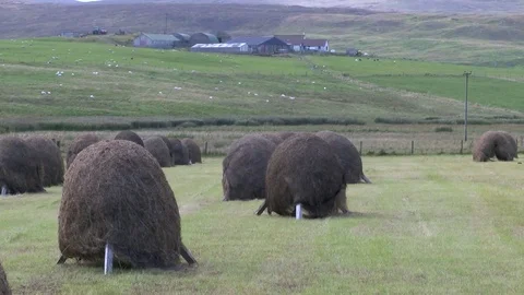 General views of the Shetland Isles Stock Footage 77354803