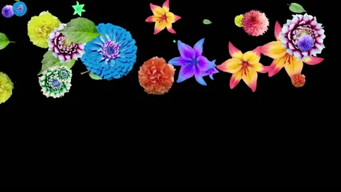 Generated animation of flowers and leaves of lilies, zinnia dahlias 库存影片 132851648
