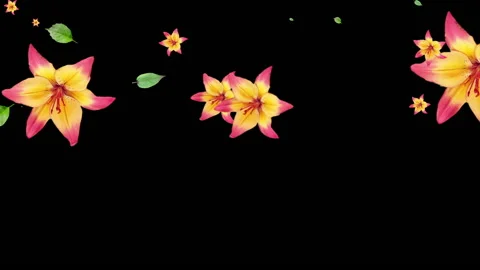 Generated animation of flowers and leaves of lilies on a black background. 库存影片 132852563