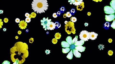 Generated animation of various colors on a black background. Vidéo 145247527