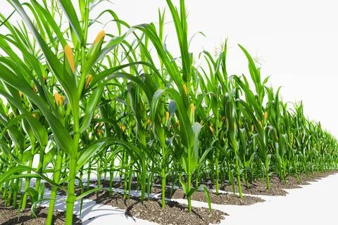 Generated image Stock Illustration