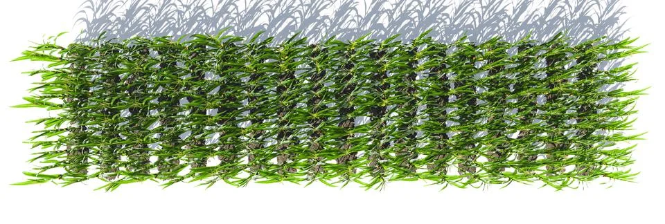 Generated image Stock Illustration