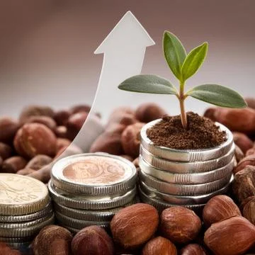 Generated image increase in the cost of raw materials cocoa fruits, chocola.. 写真素材