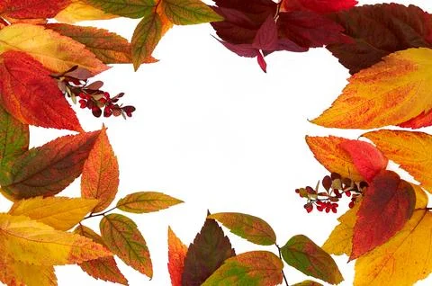 Generated image Stock Photos