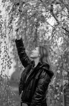 Generated image Stock Photos