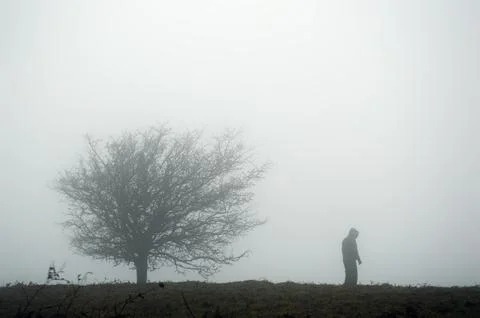 Generated image Stock Photos