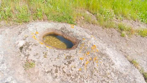 Generated Image Stock Photos