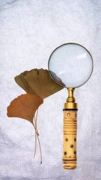 Generated Image Stock Photos