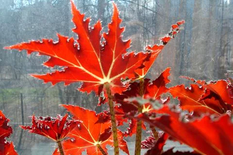 Generated image Stock Photos