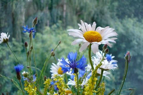 Generated image Foto stock