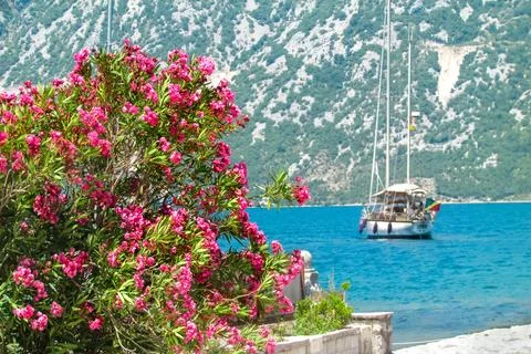 Generated image Stock Photos