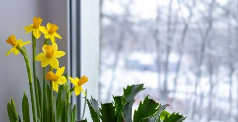 Generated image Foto stock