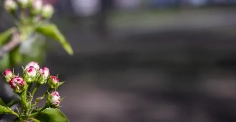 Generated image Stock Photos